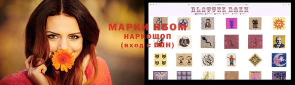 прущий лед Алзамай