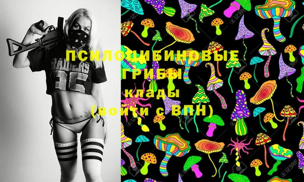 прущий лед Алзамай