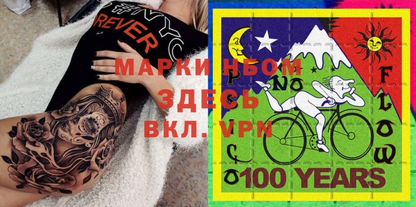 прущий лед Алзамай