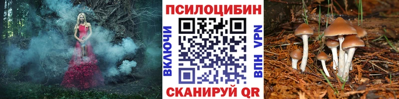 Псилоцибиновые грибы Cubensis  наркошоп  гидра ССЫЛКА  Пласт 